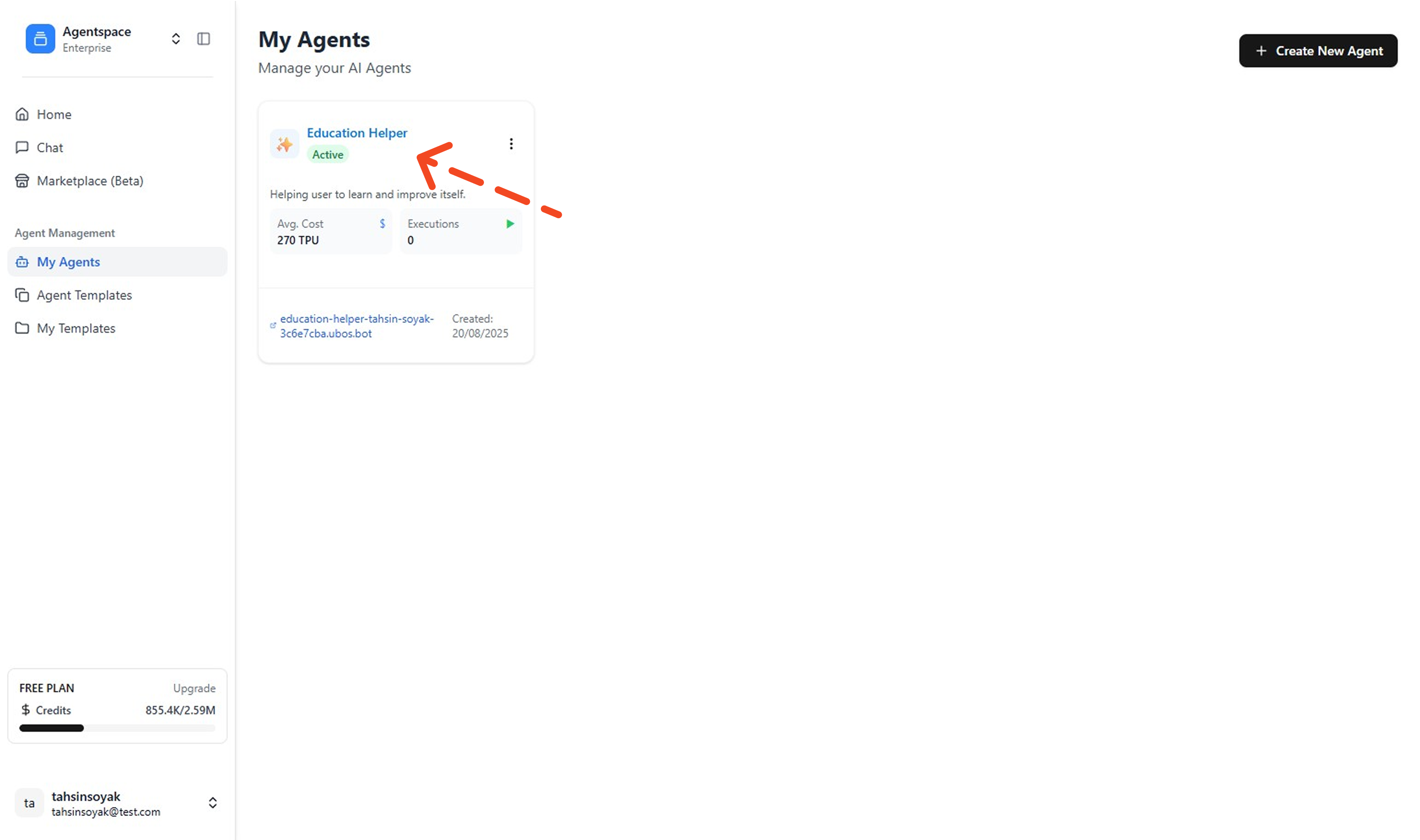 Agent Details